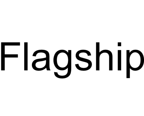 logo for project Flagship